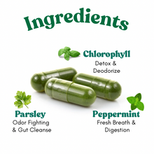 Load image into Gallery viewer, Herbotanical Odor Out