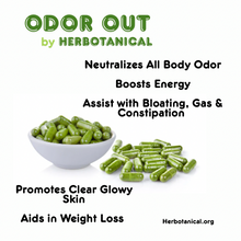 Load image into Gallery viewer, Herbotanical Odor Out