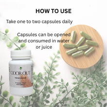 Load image into Gallery viewer, Herbotanical Odor Out